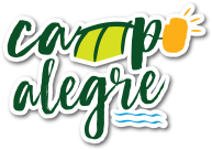 Leonardo Martins - Campo Alegre Promoter Management Platform